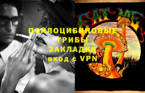 хмурый Алексеевка